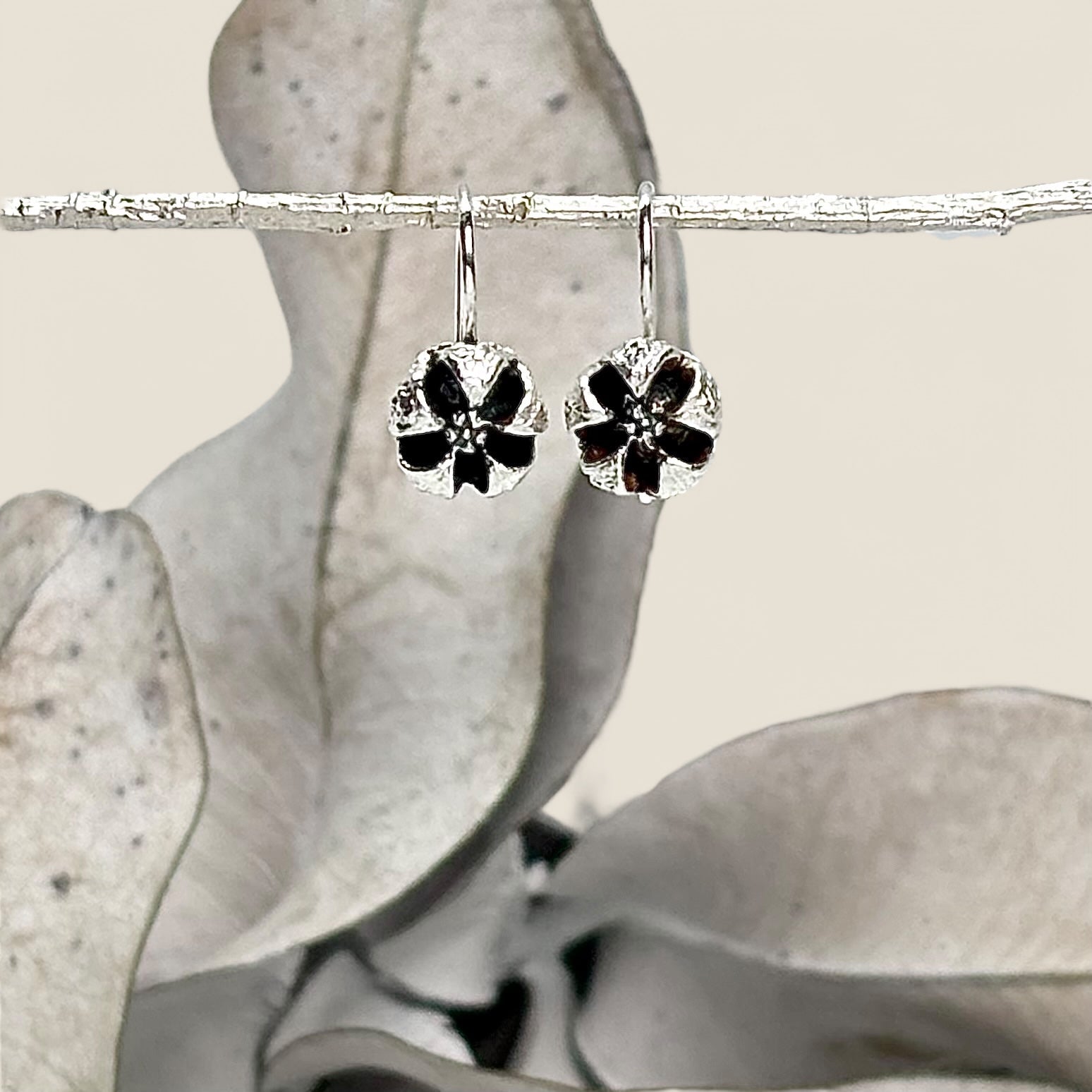 TEA TREE SEED Hook EArrings