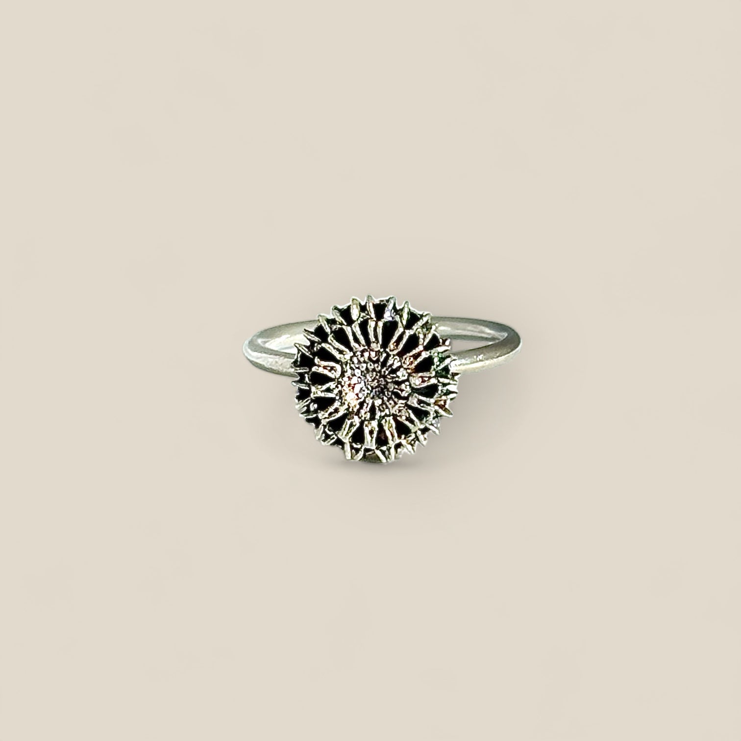 Samara Silver Oxidised Ring