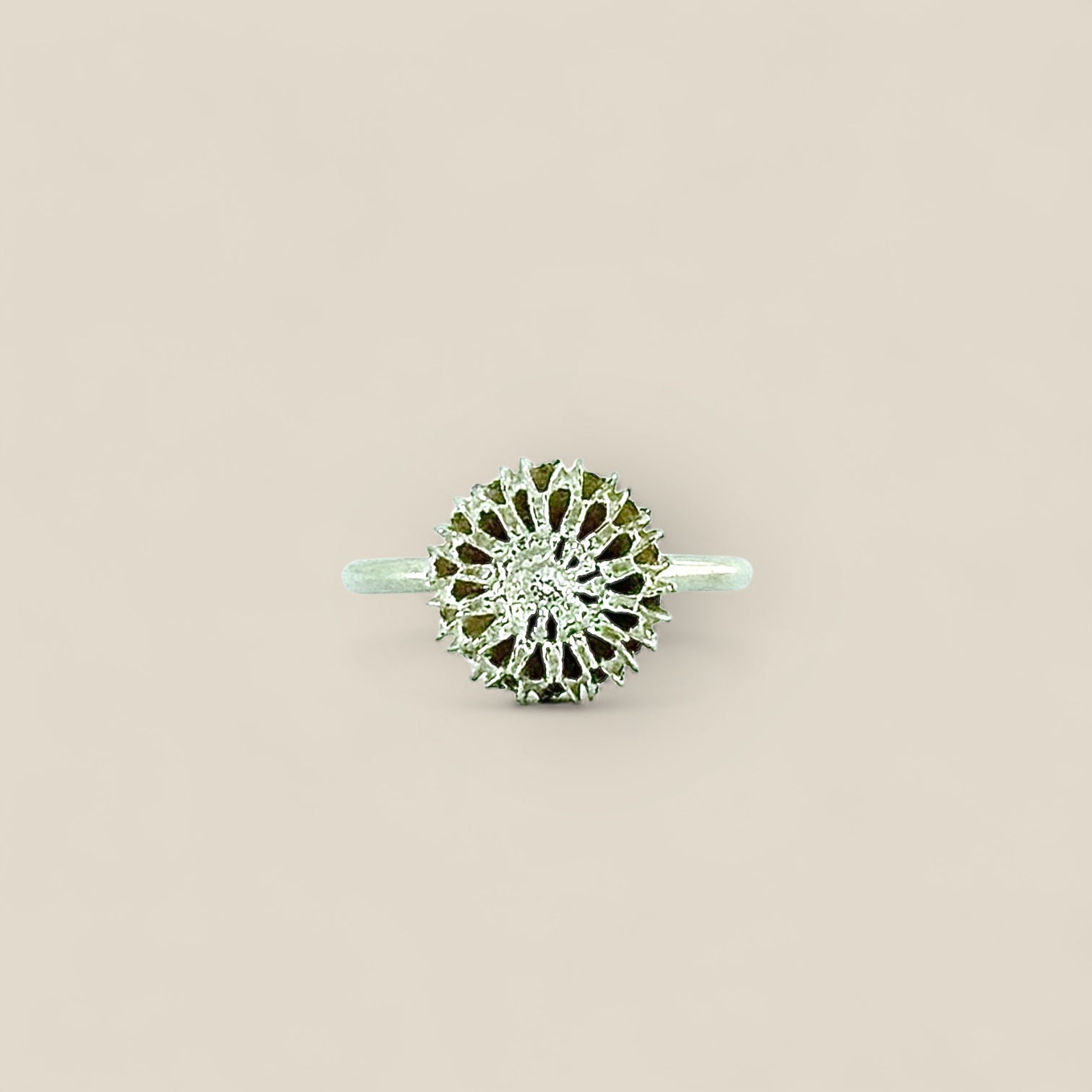 Samara Silver Polished Ring