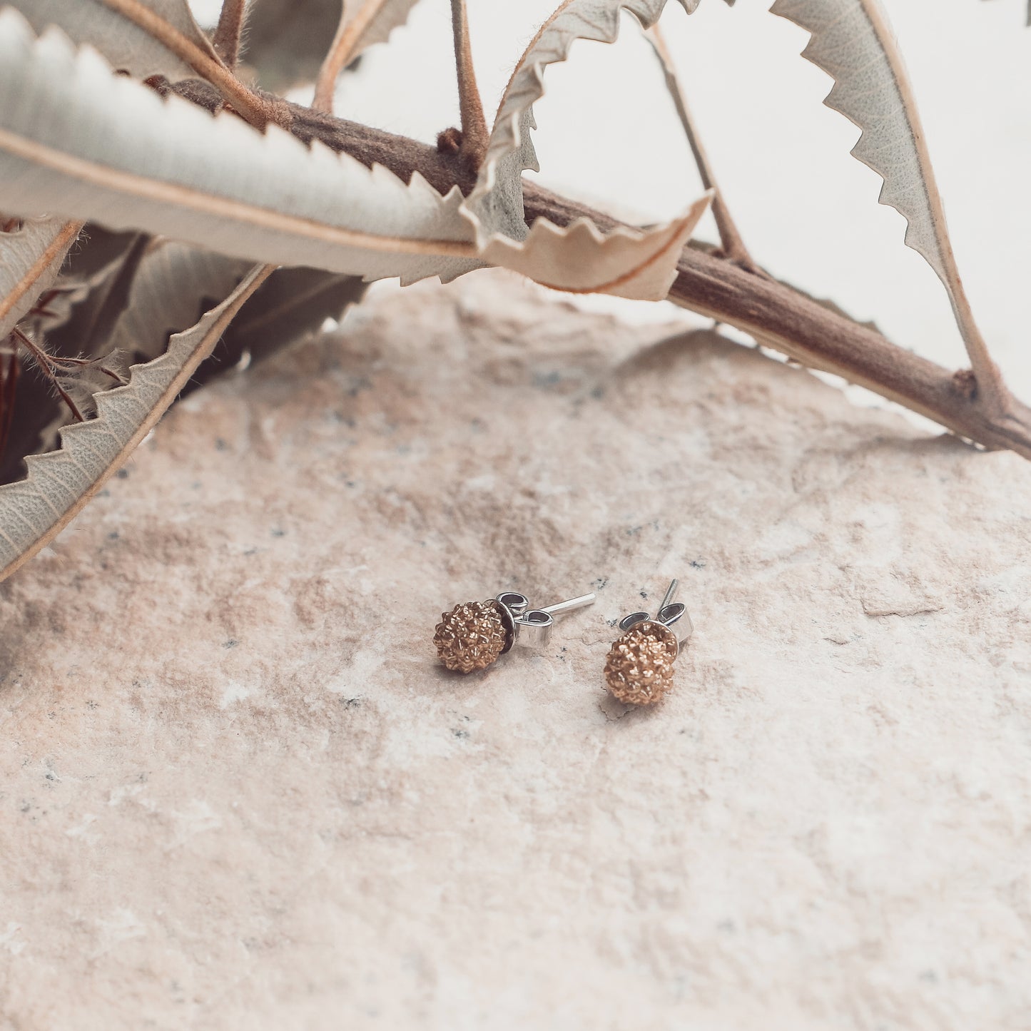 Acacia Silver Stud earrings