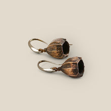 Load image into Gallery viewer, Gumnut Earrings