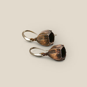 Gumnut Earrings