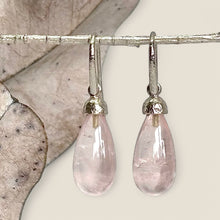 Load image into Gallery viewer, Pod Gemstone Drop Earrings