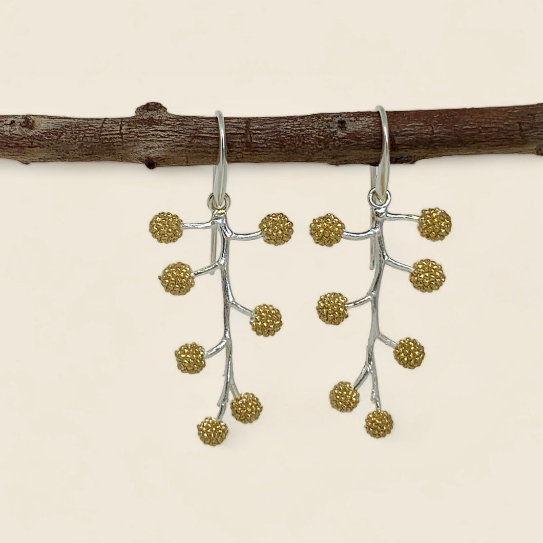 Silver Acacia Branch earrings with Yellow Gold Palting
