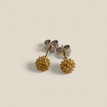Load image into Gallery viewer, Acacia Silver Stud earrings