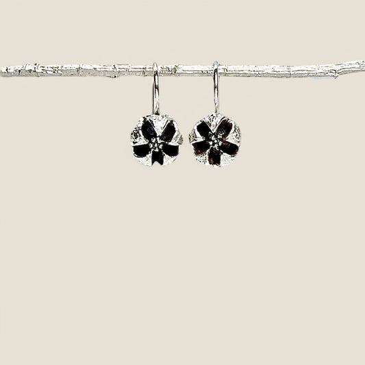 NATURA Tea Tree Seed Silver Hook Earrings 