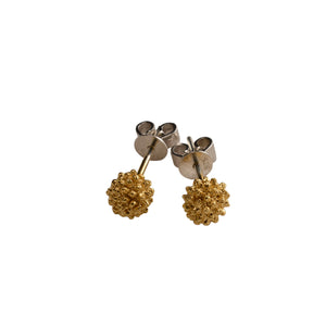 Acacia gold stud earrings