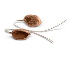 Load image into Gallery viewer, Grevillea pod earrings bronze