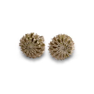 Samara silver stud earrings